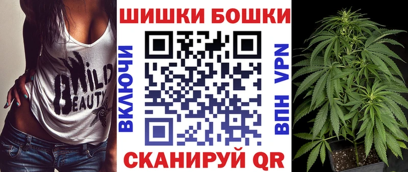 как найти наркотики  Новоуральск  Шишки марихуана сатива 